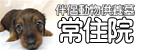 伴侶動物供養　常住院バナー